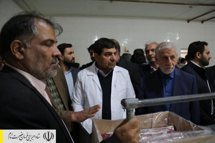 تولید ١٢هزار تن گوشت قرمز ماحصل اجرای طرح های اشتغالزایی ستاد اجرایی فرمان امام