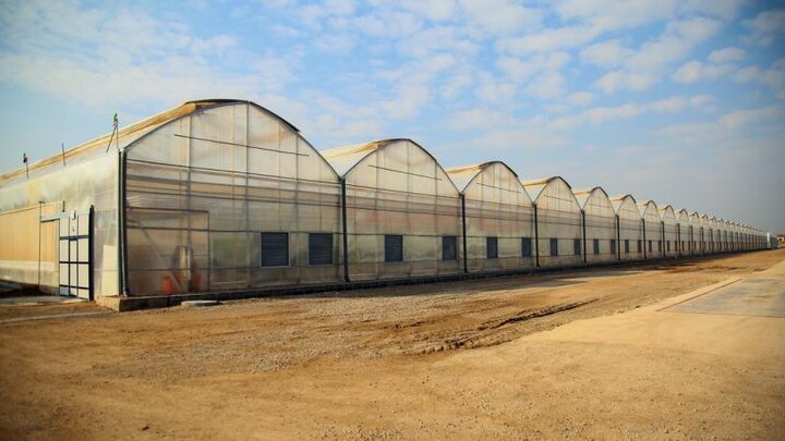 افتتاح ۳ طرح بزرگ اقتصادی ستاد اجرایی فرمان امام(ره) در استان مرکزی و ایجاد ۹۲۰ شغل جدید