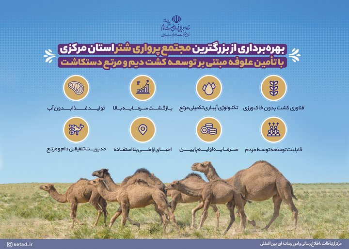 بهره برداری از بزرگترین مجتمع پرواری شتر