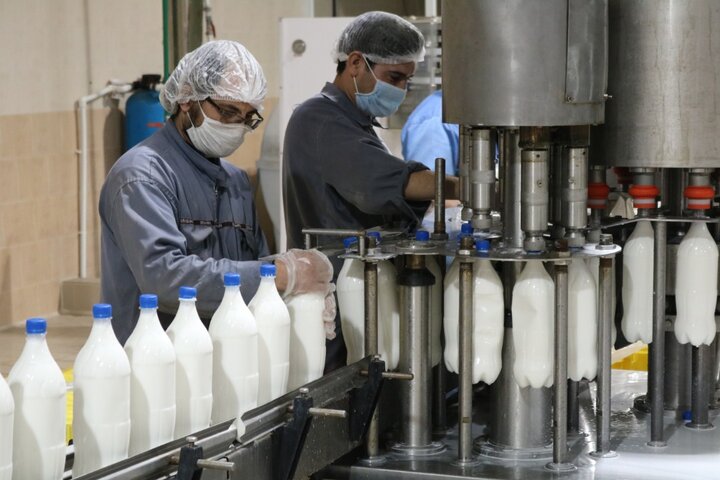 اجرای طرح هاب شتر توسط ستاد اجرایی فرمان حضرت امام ره در خراسان جنوبی