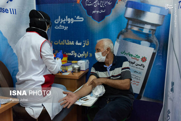 آغاز فاز سوم طرح ملی واکسن ایرانی برکت در بوشهر