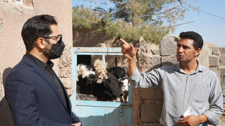 موسوی ،مدیرکل ستاد اجرایی فرمان امام خراسان جنوبی از طرح های اشتغالزایی دهک شهرستان نهبندان بازدید کرد