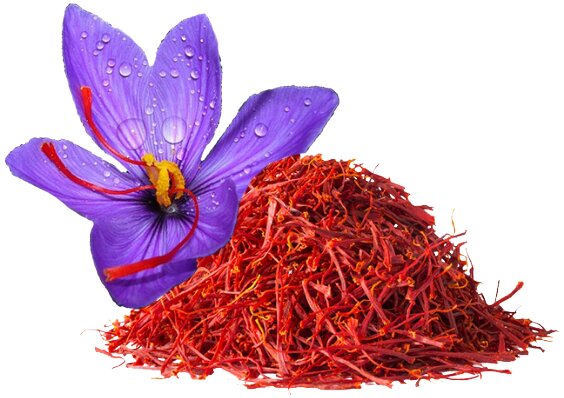 سامانه ثبت‌نام تسهیلات کشاورزان زعفران کاران خرده مالک