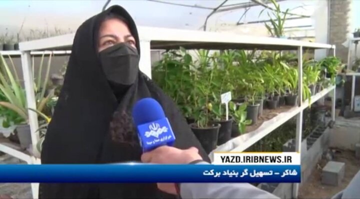 گزارش خبری شبکه یزد از طرح اشتغالزایی بنیاد برکت در تُرک آباد اردکان