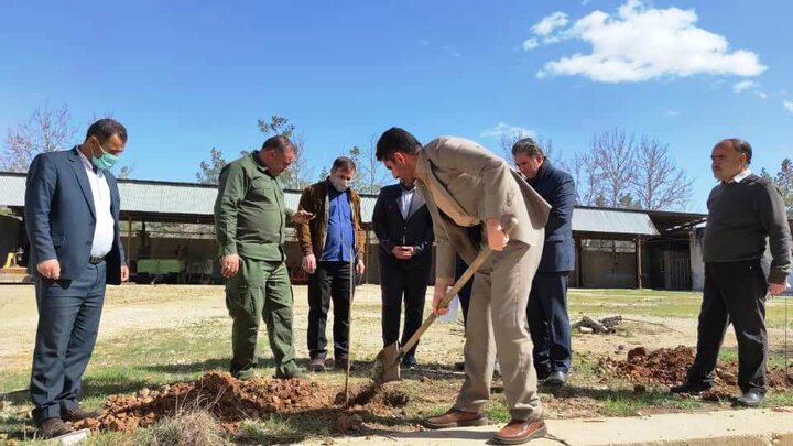 کاشت نهال در روز درختکاری به امید ثمردهی درخت در کارخانه قند یاسوج