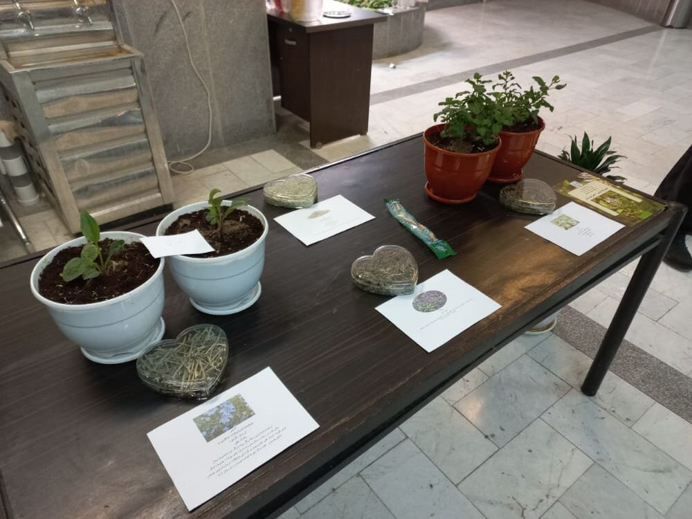 برگزاری نخستین نمایشگاه دانشجویی گیاهان دارویی با همکاری شرکت مدبر کشت توس
