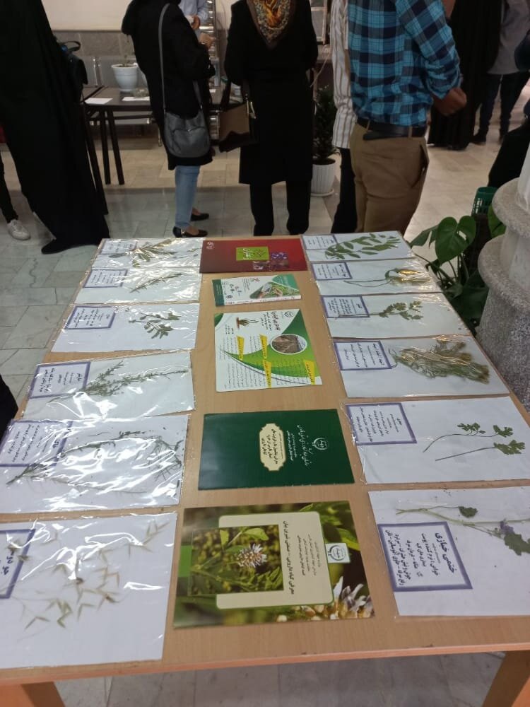 نمایشگاه دانشجویی گیاهان دارویی با همکاری شرکت مدبر کشت توس 