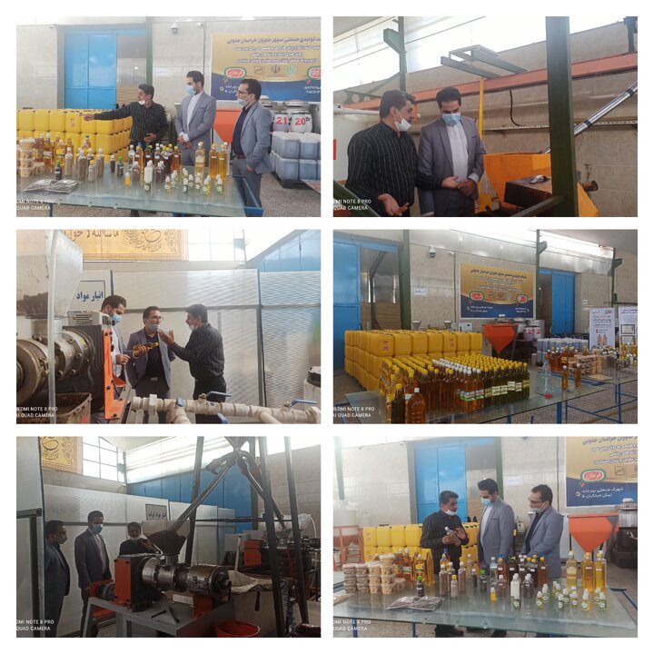 بازدید مدیرکل ستاد اجرایی فرمان امام خراسان جنوبی از طرح اشتغالزایی سپهر خاوران بیرجند