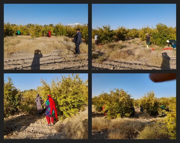 به همت خانه احسان محله ناسار و اسفنجان استان سمنان صورت گرفت