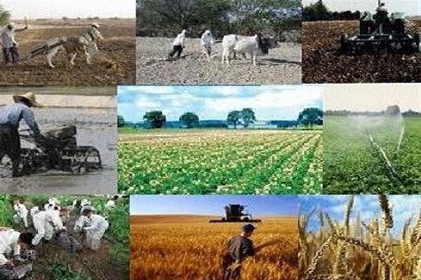 اشتغالزایی ۳۸ هزار نفر در طرح‌های بنیاد برکت خراسان جنوبی