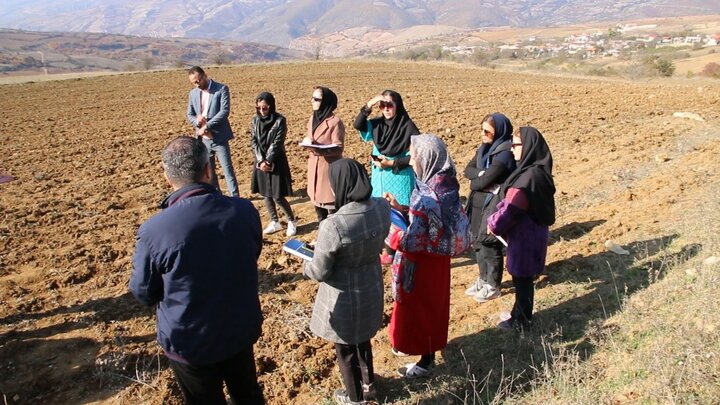 آموزش دیم زار کارشناس استان مازندران