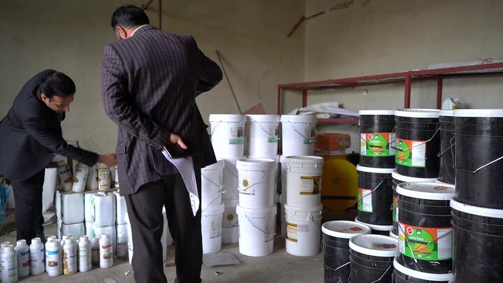توزیع بذرمال در میان کشاورزان طرح جهش تولید دیم زارهای استان مازندران