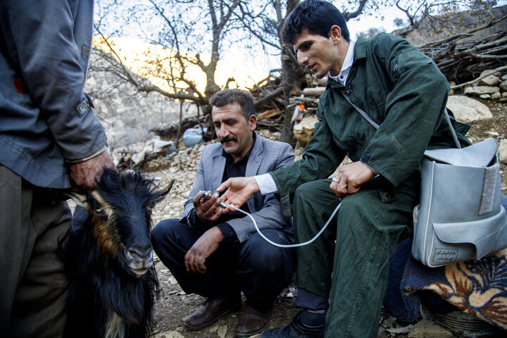 ارائه خدمات دامپزشکی به مناطق کم برخوردار به ارزش ۵۰ میلیارد ریال/ ۲۰۰ هزار دوز واکسن دام با اعتباری ۱۵ میلیارد ریالی توسط بنیاد احسان توزیع شد