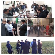 جلسه و بازدید مدیرعامل هلدینگ کشاورزی ستاد اجرایی از طرح های استان گلستان