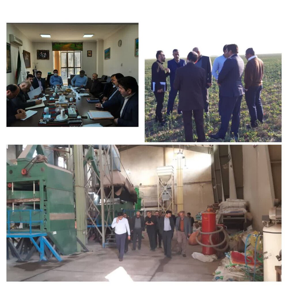 جلسه و بازدید مدیرعامل هلدینگ کشاورزی ستاد اجرایی از طرح های استان گلستان 
