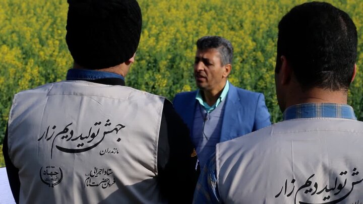 کلاس های آموزشی طرح جهش تولید در دیم زارهای استان مازندران