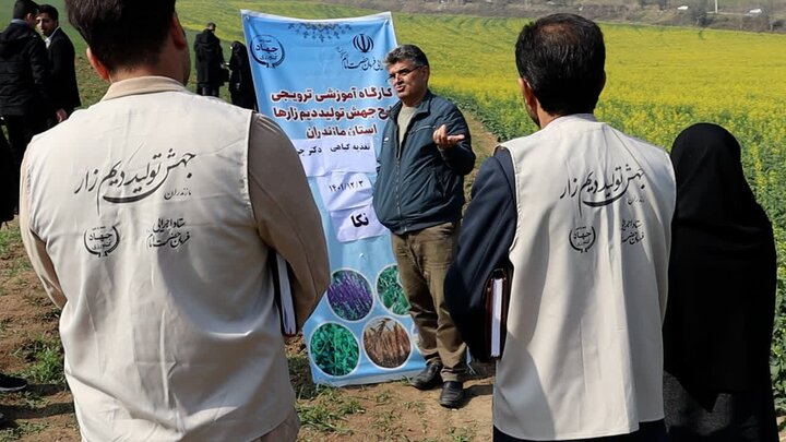 کلاس های آموزشی طرح جهش تولید در دیم زارهای استان مازندران