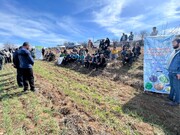 گزارش تصویری از برگزاری کلاس آموزشی در مزرعه برای کشاورزان طرح جهش تولید در دیم زارها