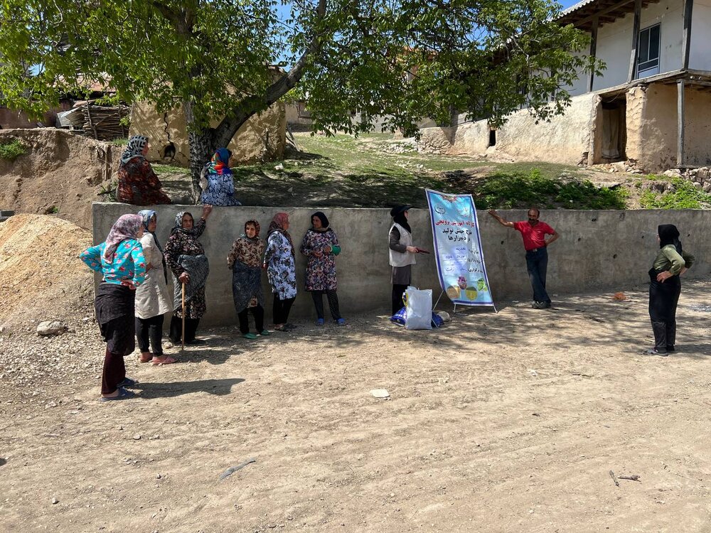 توزیع کود npk در استان مازندران توزیع کود npk در استان مازندران