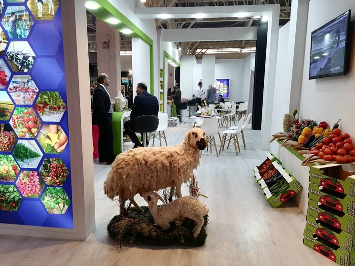 حضور هلدینگ کشاورزی ستاد اجرایی در نمایشگاه اکسپو 2023