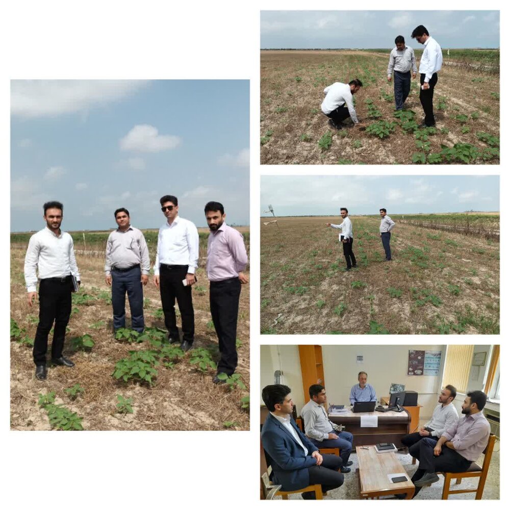 جلسه و بازدید از مرکزجهادکشاورزی جعفربای جنوبی شهرستان بندرترکمن جلسه و بازدید از مرکزجهادکشاورزی جعفربای جنوبی شهرستان بندرترکمن