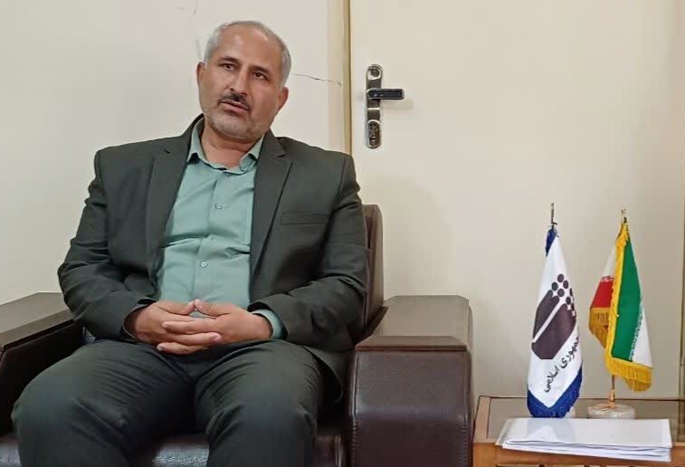 همکاری بیش از هزار گروه مردمی با ستاد اجرایی لرستان