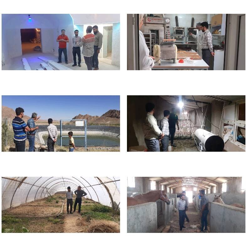 اشتغالزایی بنیاد برکت در شهرستان بشرویه