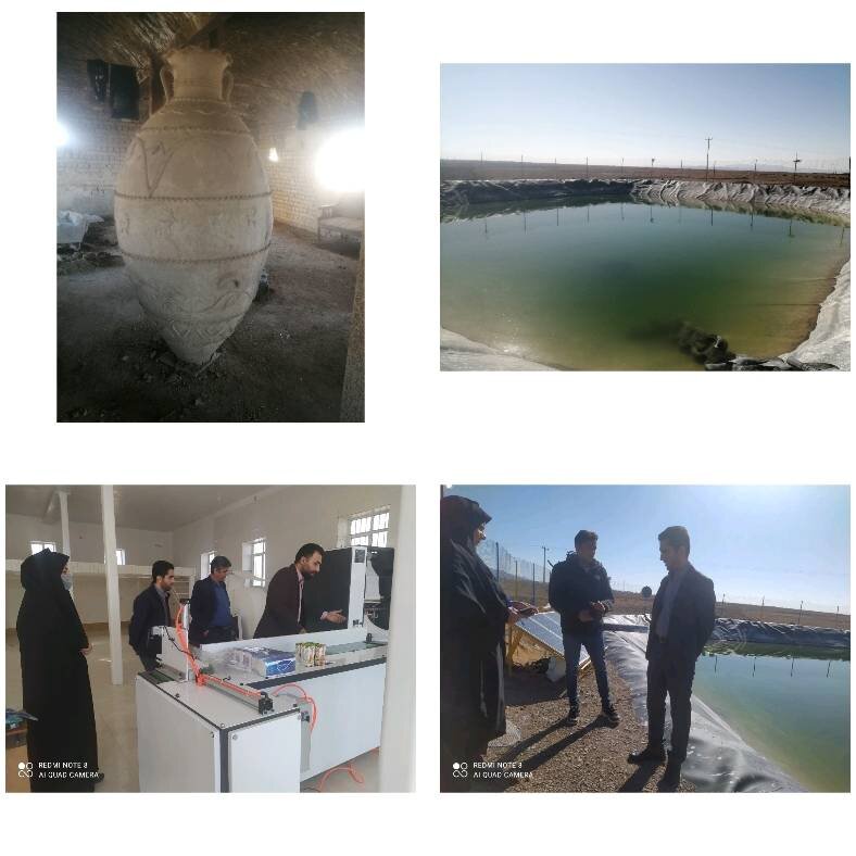 اجرای ۱۳ هزار و ۳۵۴ طرح اقتصادی از سوی ستاد اجرایی فرمان امام در خراسان جنوبی