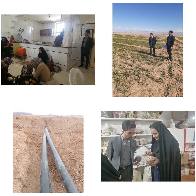 اجرای ۱۳ هزار و ۳۵۴ طرح اقتصادی از سوی ستاد اجرایی فرمان امام در خراسان جنوبی