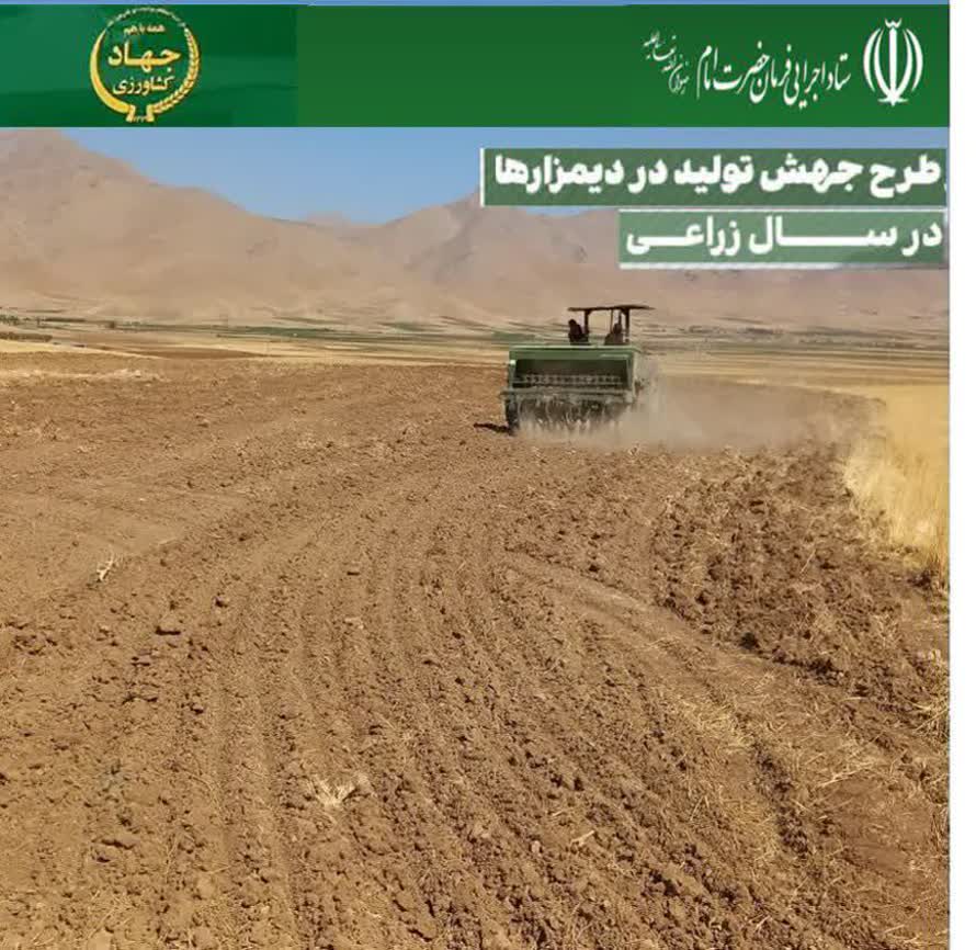 اجرای طرح جهش تولید در ۳۷۰ هزار هکتار از دیمزارهای لرستان