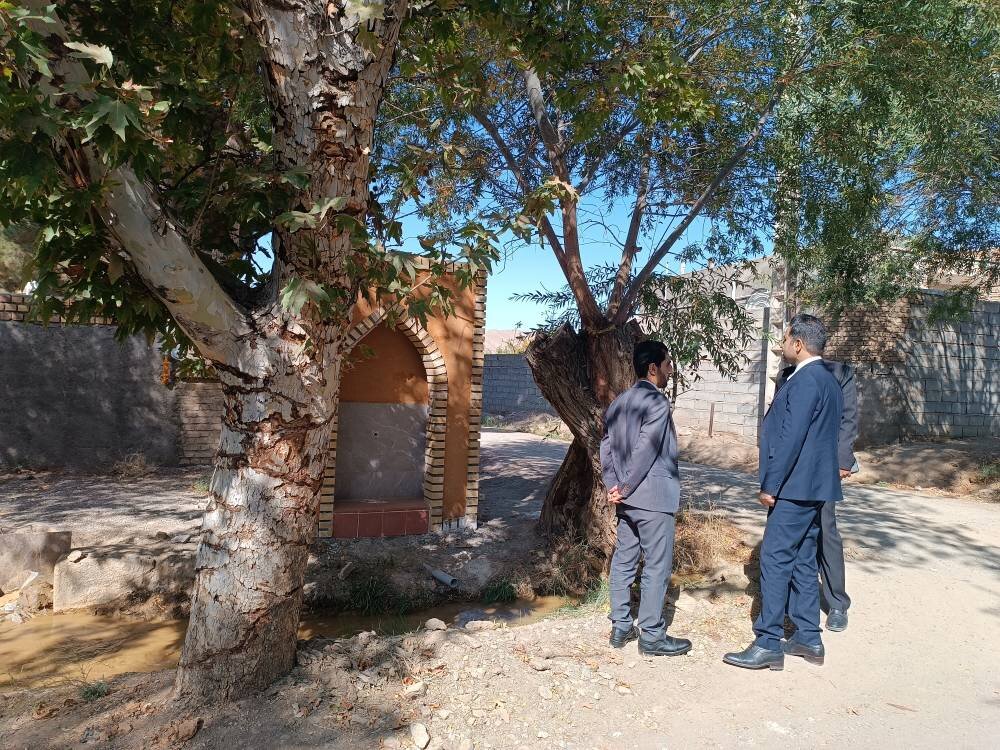 بازدید میدیرکل ستاد اجرایی فرمان امام خراسان جنوبی از طرح های بنیاد برکت در شهرستان فردوس