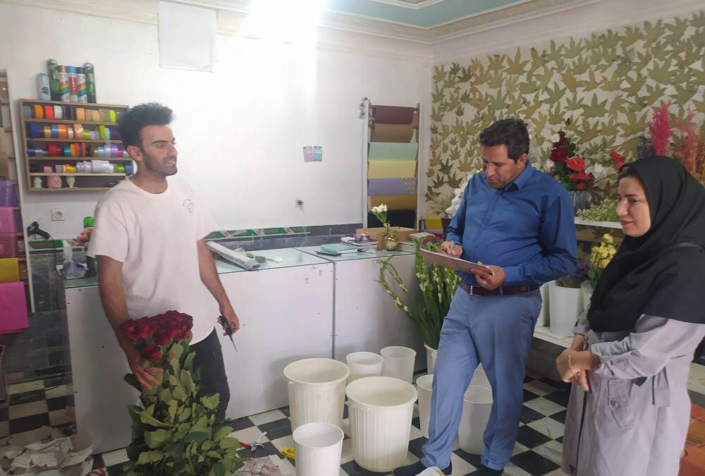 ایجاد مناطق تولید گل نرگس با همکاری بنیاد برکت در ایلام / اشتغال زایی 900 نفری به صورت مستقیم در سه شهرستان ایلام با همت بنیاد برکت