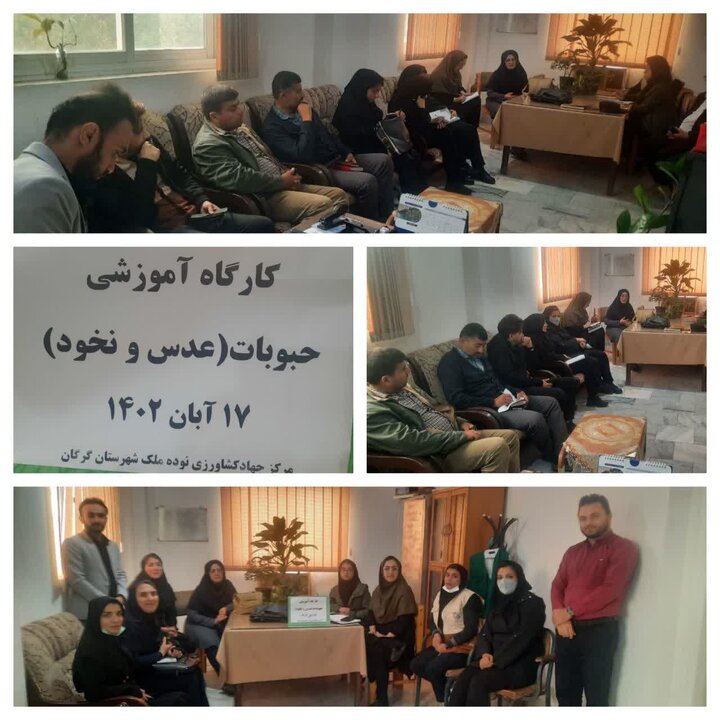 کارگاه اموزشی حبوبات در طرح جهش تولید در دیمزارها