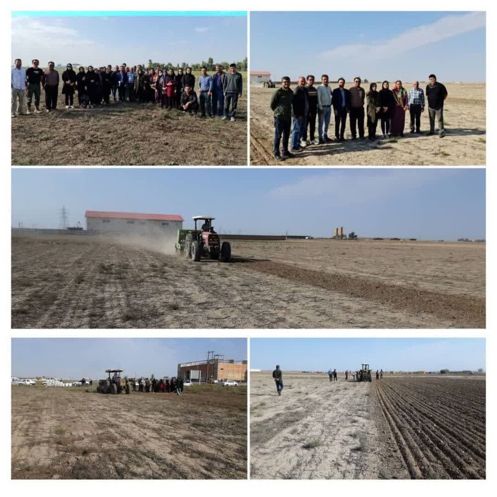 برگزاری کارگاه مزرعه ای و اجرای عملیات کشت مستقیم گندم و کلزا شهرستان های گنبد و آق قلا برگزاری کارگاه مزرعه ای و اجرای عملیات کشت مستقیم گندم و کلزا شهرستان های گنبد و آق قلا