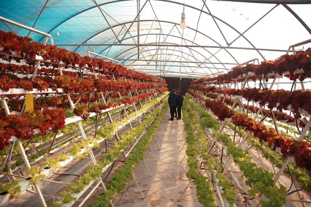 رویداد "از مهارت تا تولید" توسط بنیاد احسان برای توانمندسازی مدارس تولید و مهارت کشور برگزار شد.