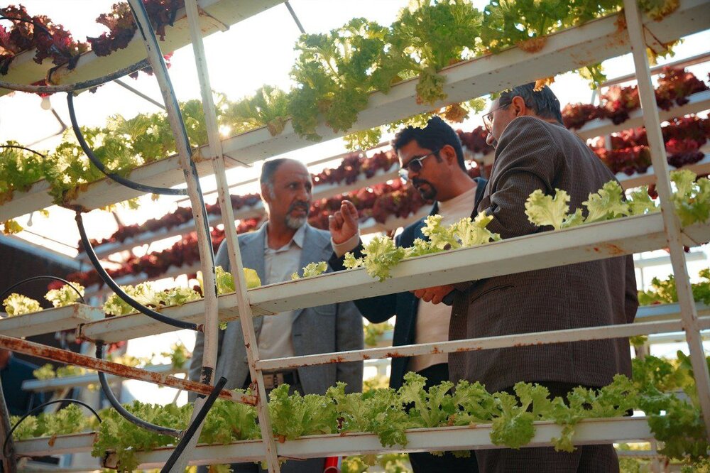 رویداد "از مهارت تا تولید" توسط بنیاد احسان برای توانمندسازی مدارس تولید و مهارت کشور برگزار شد.