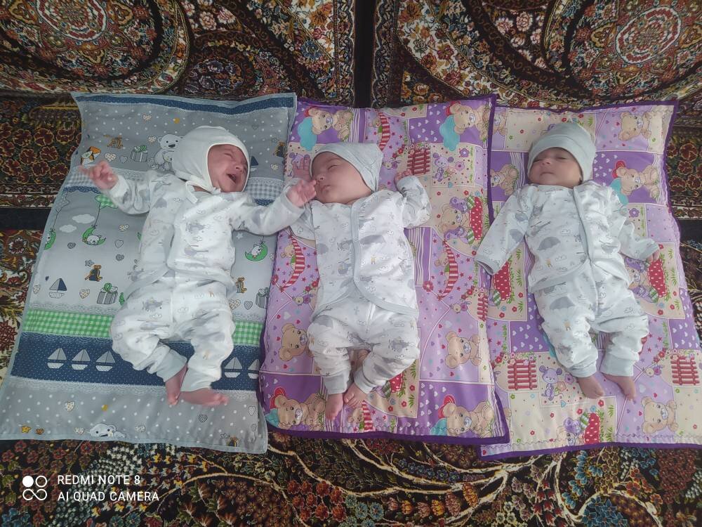 حمایت بنیاد ۱۵ خرداد ستاد اجرایی فرمان امام از چند قلوهای خراسان جنوبی