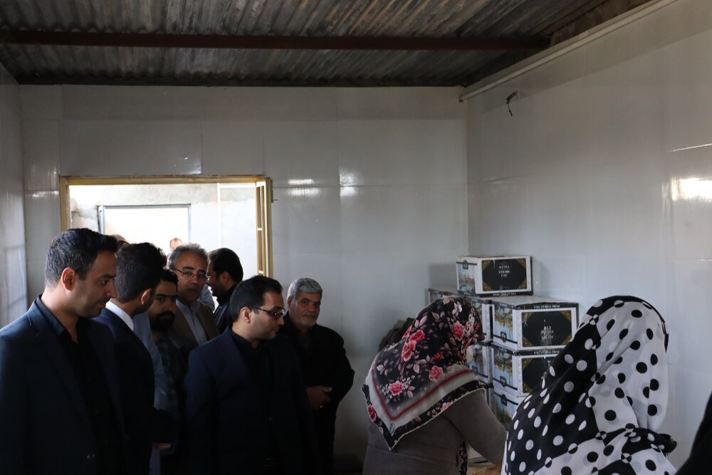 اجرای ۸۱۰ طرح اشتغالزایی بنیاد برکت در شهرستان خوسف