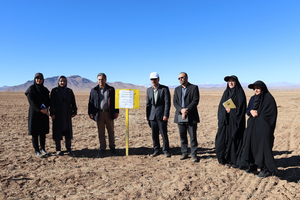 بازدید از مزارع طرف قرارداد طرح جهش تولید در دیمزارها با حضور ناظر منطقه ای طرح