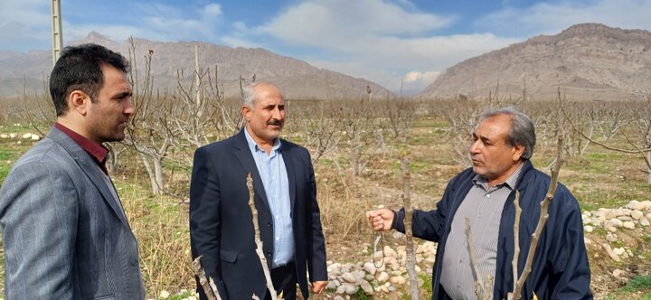 بازدید مدیرکل ستاد اجرایی لرستان از طرح‌های زنجیره سبز در پلدختر