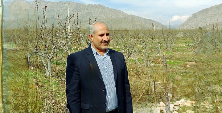 اشتغال‌زایی ۴۳۰ پلدختری با اجرای طرح‌های زنجیره سبز ستاد اجرایی