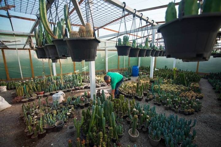 تغییر الگوی کشت در شهرستان‌های استان فارس به همت بنیاد برکت/ انتخاب دو روستای ملی با طرح‌های اشتغال‌زایی