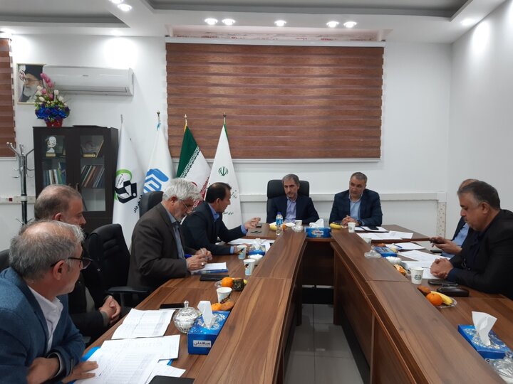 ۱۰۰هزار هکتار از اراضی ایلام زیرچترجهش تولید در دیمزارها