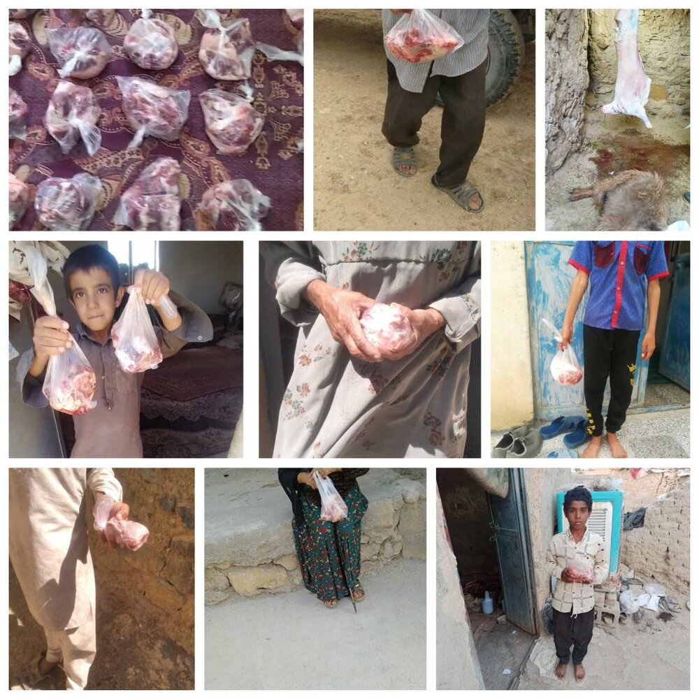 پویش نذر قربانی به همت بنیاد احسان ستاد اجرایی فرمان امام در خراسان جنوبی