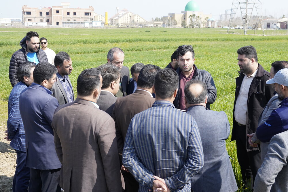 کارگاه آموزشی استفاده از سم پاش ها ویژه مناطق دیم زار استان مازندران برگزار شد