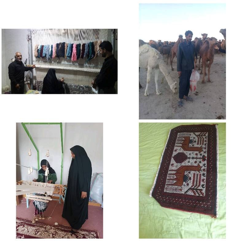 اجرای بیش از ۲ هزار طرح اشتغالزایی بنیاد برکت سال ۱۴۰۲ در خراسان جنوبی