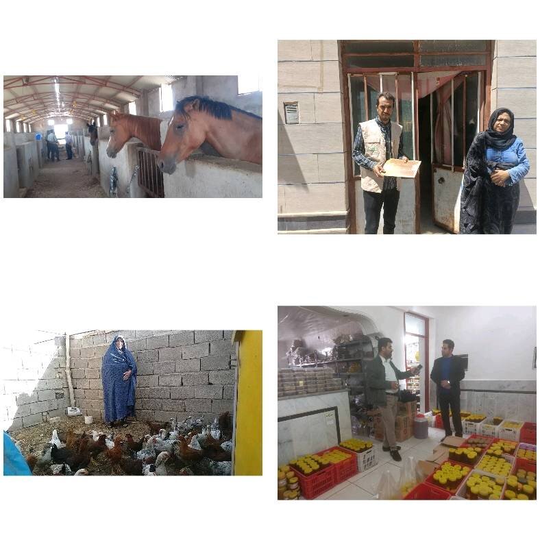 اجرای بیش از ۲ هزار طرح اشتغالزایی بنیاد برکت سال ۱۴۰۲ در خراسان جنوبی