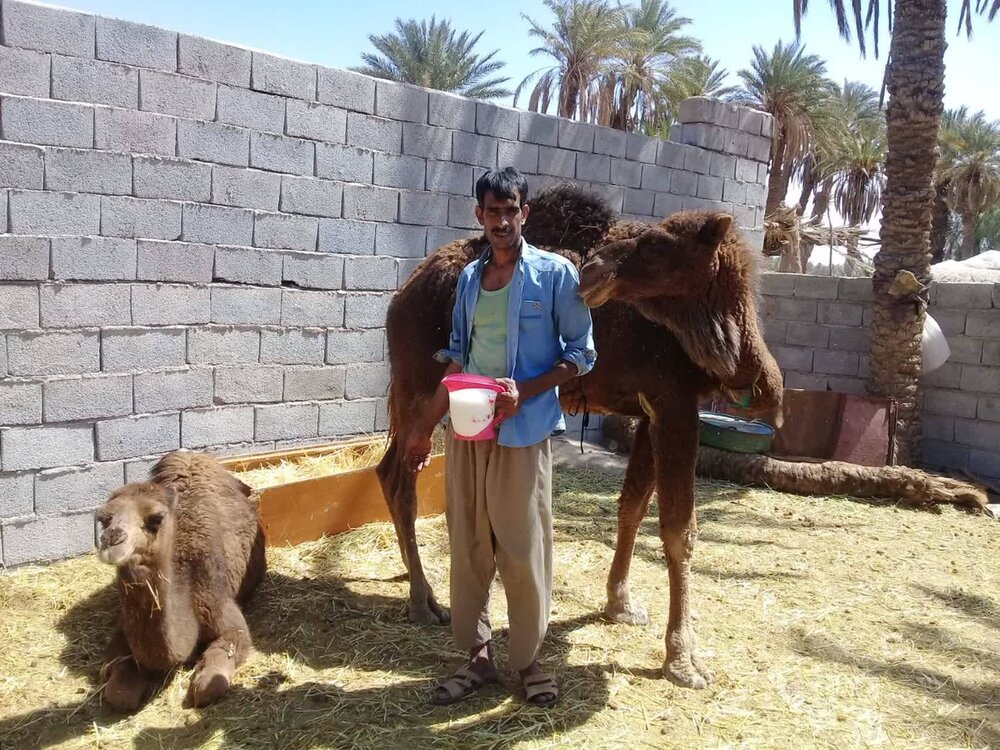 اجرای بیش از ۲ هزار طرح اشتغالزایی بنیاد برکت سال ۱۴۰۲ در خراسان جنوبی