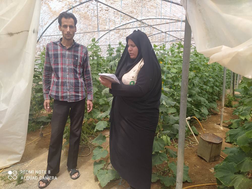 اجرای بیش از ۲ هزار طرح اشتغالزایی بنیاد برکت سال ۱۴۰۲ در خراسان جنوبی