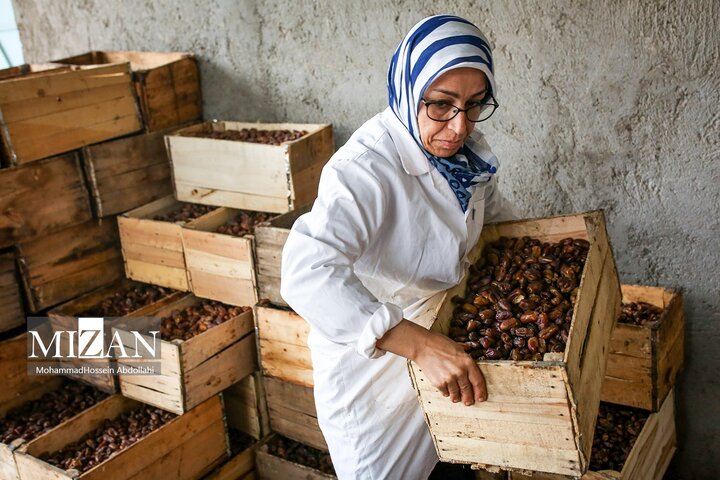 از نگاه رسانه/ طرح‌های اشتغال برکت در استان خوزستان